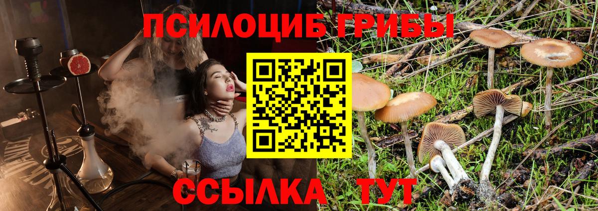 Галлюциногенные грибы GOLDEN TEACHER Ачхой-Мартан
